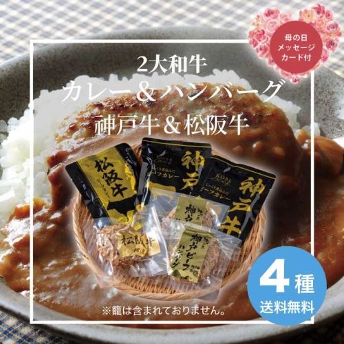 [冷凍][直送商品]母の日 5/8-10お届け エルスト 2大和牛カレー＆ハンバーグ食べ比べ 【配送指定日不可】 (1852-606)