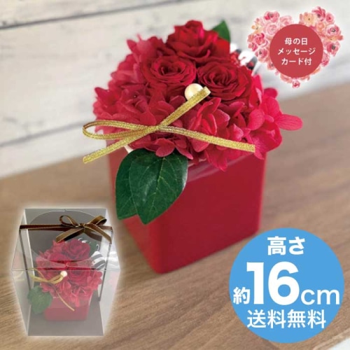 [直送商品]母の日 5/8-10お届け スープ ギフトアレンジメント エクラン レッド 【配送指定日不可】 (1853-747)