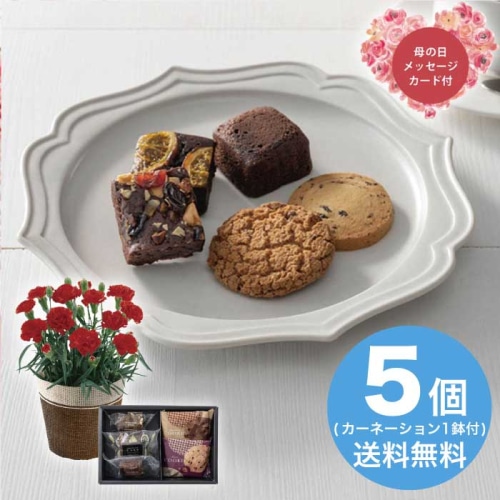 [直送商品]母の日 5/8-10お届け カーネーション&ホテルオークラ ケーキ＆ブラウニー＆クッキーアソート セット 【配送指定日不可】 (1853-987)