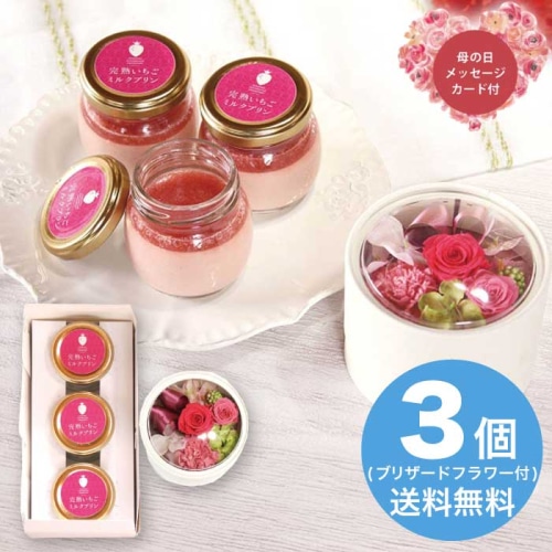 [冷凍][直送商品]母の日 5/8-10お届け 完熟いちご菓子研究所 完熟いちごミルクプリン＆プリザーブドフラワー 【配送指定日不可】 (1854-232)