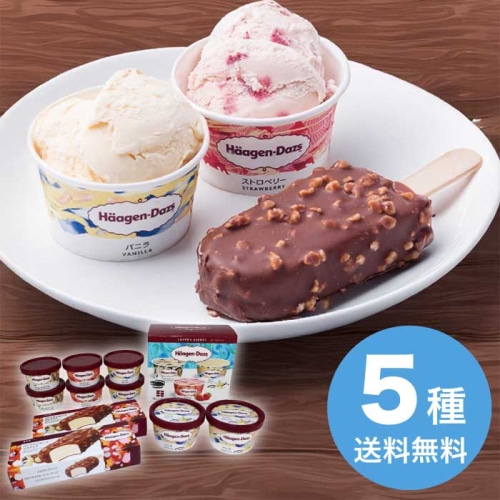 [冷凍][直送10]お中元 ハーゲンダッツ ハーゲンダッツ スペシャルセット (1618-042)