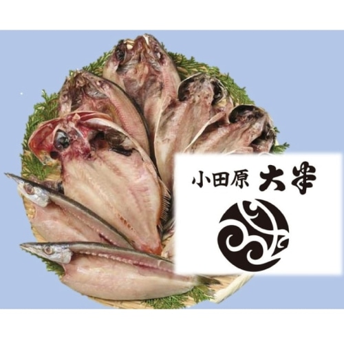 [冷凍][直送10]【綿半/鮮魚特集】送料無料 神奈川県小田原「大半商店」干物詰合せ