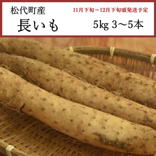 [予約直送]送料無料 長野県松代町産 長いも 5kg 3～5本 【綿半お歳暮】【11月下旬～12月下旬順次発送】【配送指定日不可】
