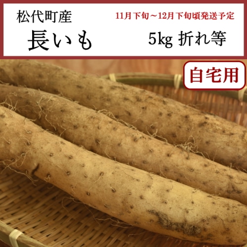 [予約直送]送料無料 長野県松代町産 長いも 家庭用 5kg 折れ等 【綿半お歳暮】【11月下旬～12月下旬順次発送】【配送指定日不可】
