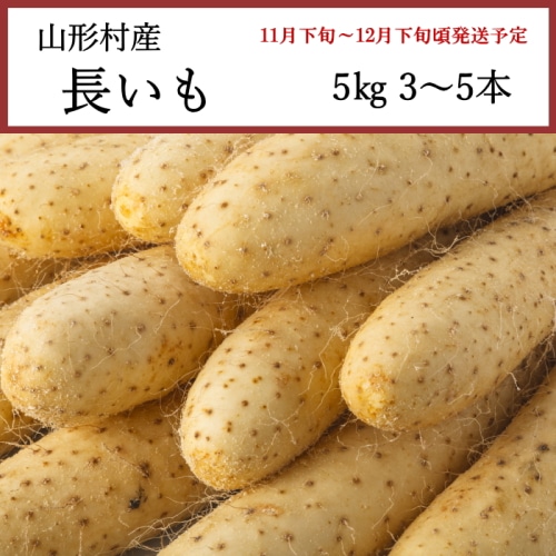[予約直送]送料無料 長野県山形村産 長いも 5kg 3～5本 【綿半お歳暮】【11月下旬～12月下旬順次発送】【配送指定日不可】
