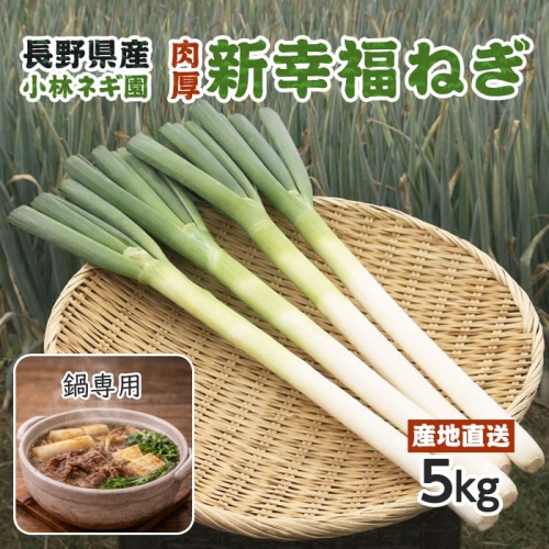 [直送10]小林ネギ園 新幸福ネギ 訳あり 5kg 【配送指定日不可】