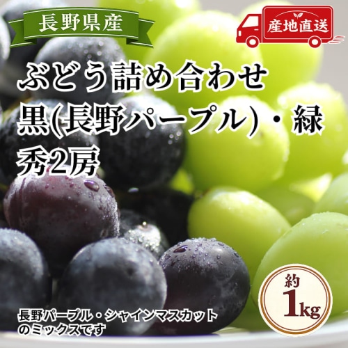 [予約直送]長野県産ぶどう詰め合わせ シャインマスカット・長野パープル 秀2房 【綿半秋の果物】【9月中旬～10月中旬順次発送】【配送指定日不可】