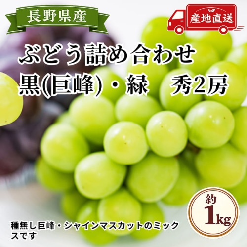 [予約直送]長野県産ぶどう詰め合わせ 種無し巨峰ぶどう・シャインマスカット 秀2房 約1kg 【綿半秋の果物】【9月下旬～10月下旬順次発送】【配送指定日不可】