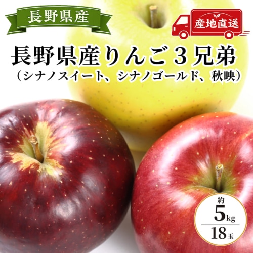 [予約直送]長野県産りんご３兄弟 秋映・シナノスイート・シナノゴールド 18玉 約5kg 【綿半秋の果物】【10月下旬～11月中旬順次発送】【配送指定日不可】