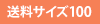 送料サイズ100