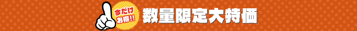 数量限定大特価