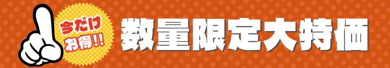数量限定大特価