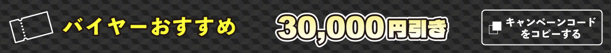 バイヤーおすすめ30000円引き