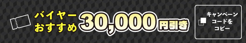 バイヤーおすすめ30000円引き